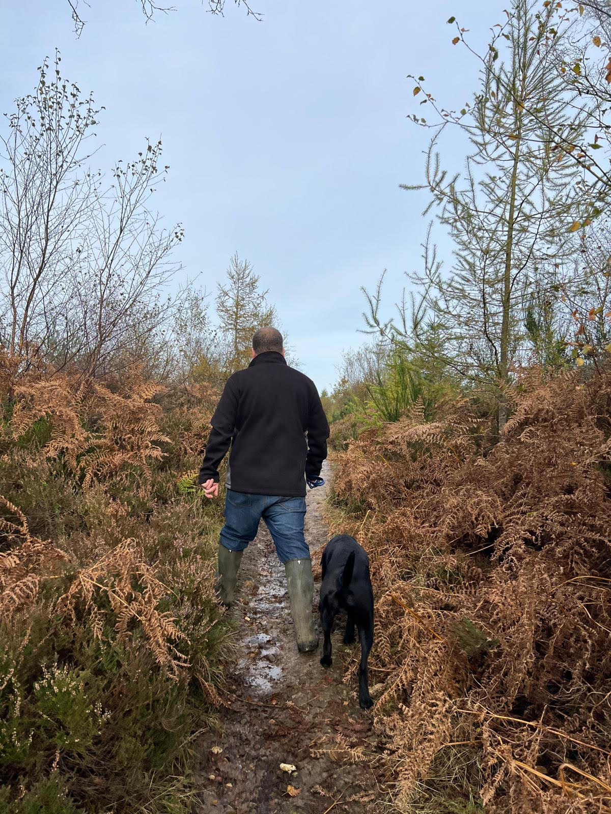 Moor Paws dogs out on a walk